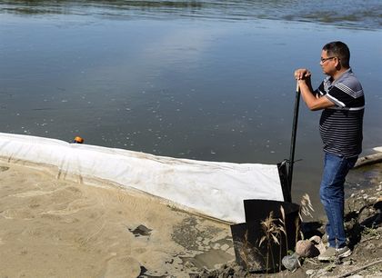 Saskatchewan First Nation says oil from Husky spill affecting sturgeon spawning